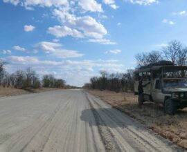 botswana-jeep-sito