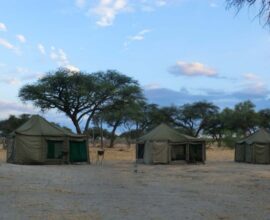 botswana-tende-sito