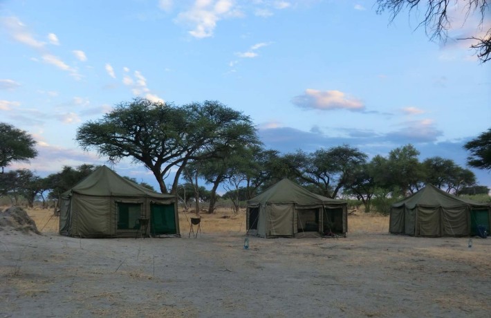 botswana-tende-sito