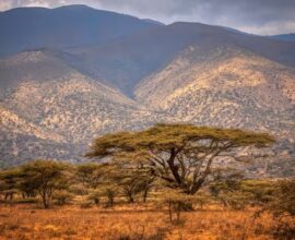 viaggio in Tanzania