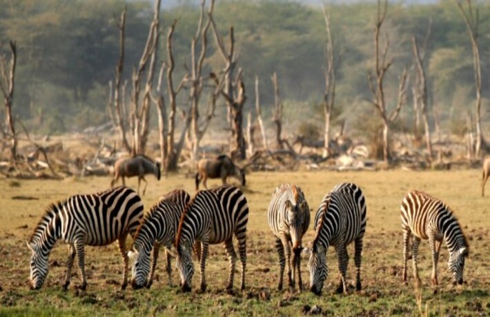 viaggio in Tanzania