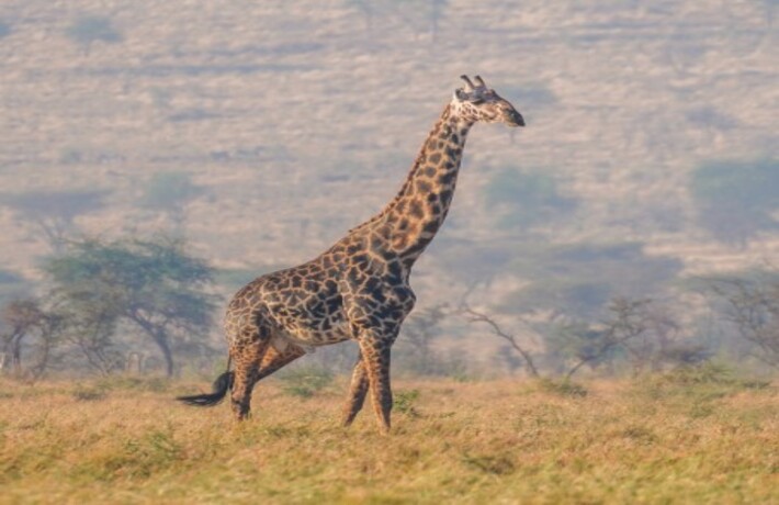 viaggio in Tanzania
