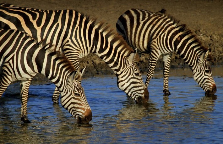 viaggio in Tanzania