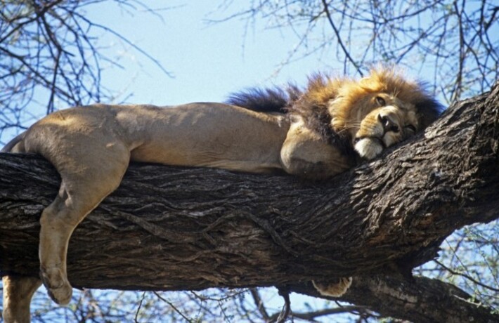viaggio in Tanzania
