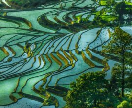 Cina,-Yuanyang-risaie