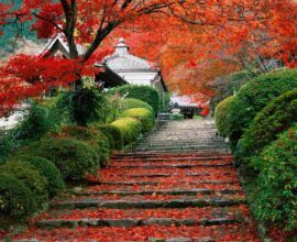 viaggio in giappone kyoto