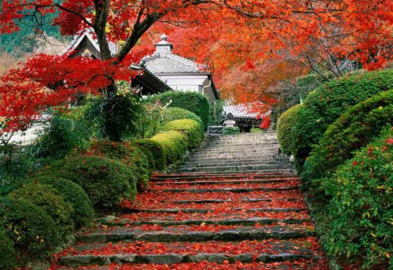 viaggio in giappone kyoto