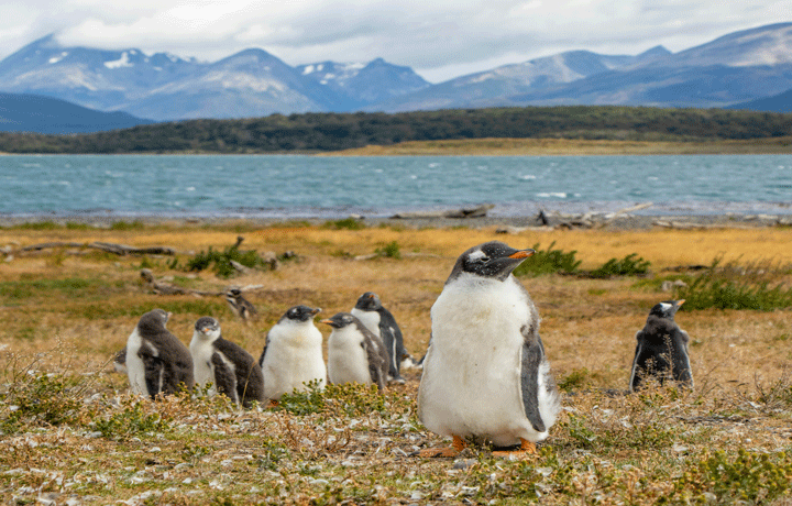 viaggio-in-argentina-perito-moreno
