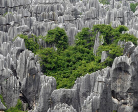 viaggio-in-cina-kunming