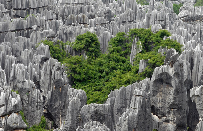 viaggio-in-cina-kunming
