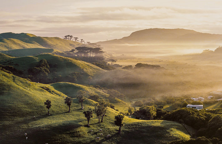 viaggio-in-nuova-zelanda-colline