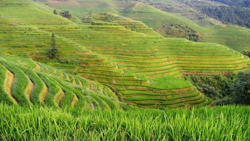 viaggio-in-cina-guilin