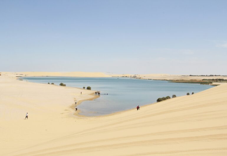 oasi del fayoum