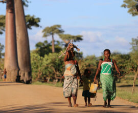 viaggio-madagascar-baobab