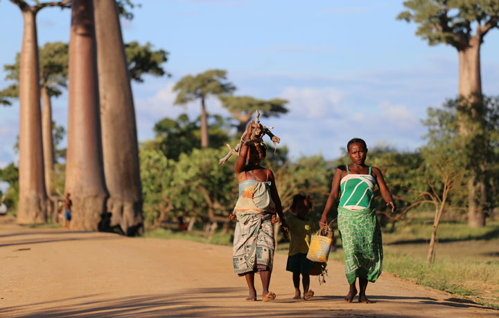 viaggio-madagascar-baobab